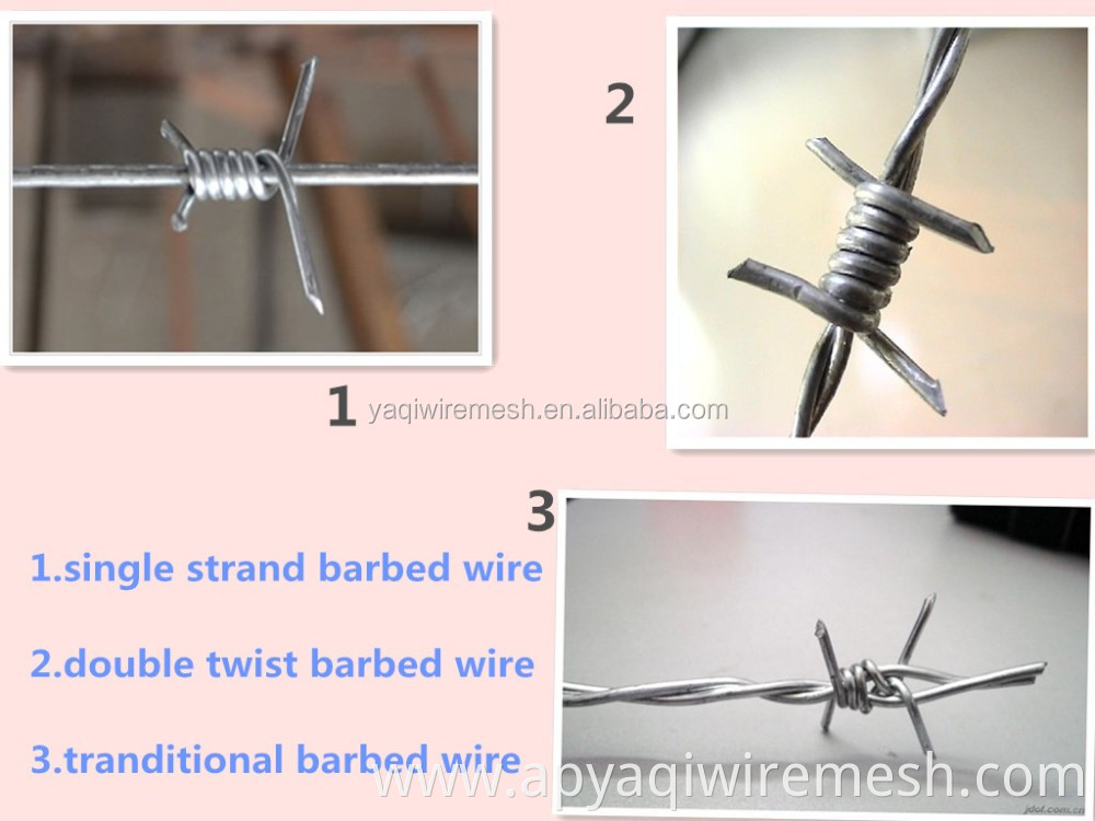 12 x12 Gauge Electro / Hot Dip Galvanized Barbed Wire